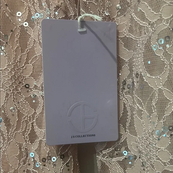 Elegant Lace Sequin Dress in Blush Pink ๐ - Picture 6 of 14